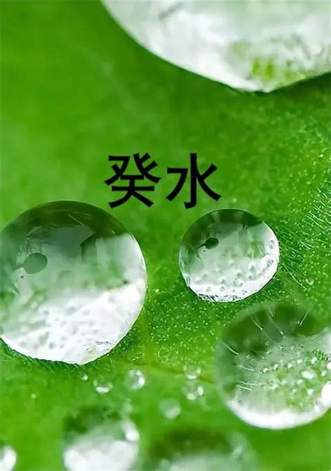 日主天干為水|日主天干是什么意思 日主天干是什么就是什么命吗